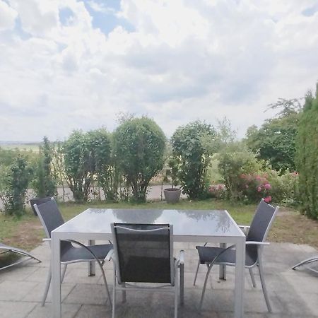 Sonniges 2-Zimmer-Gartenapartment Bietigheim-Bissingen Esterno foto